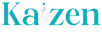 Kaizen PRO